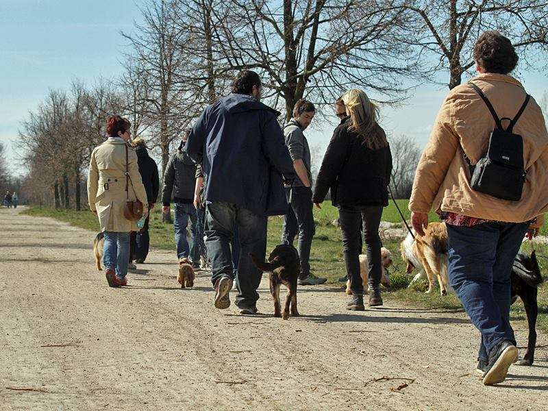 Zusammen das Erlernte weiter üben und vertiefen