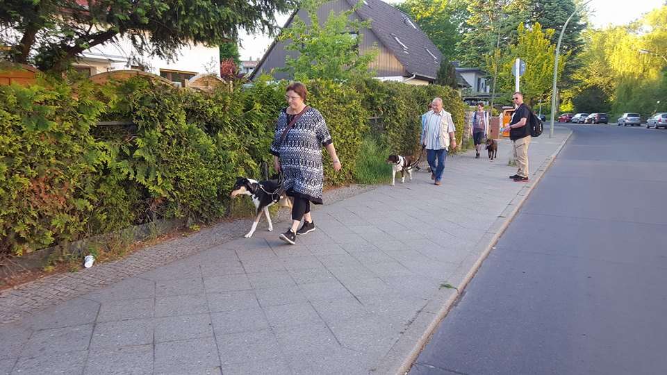 Leinenführig durch Berlin