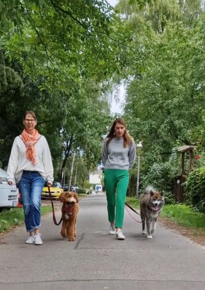 orientierung-an-der-leine